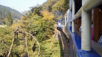 トロッコ列車.JPG